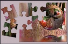 screen-shot-2017-01-22-at-1-44-44-pm